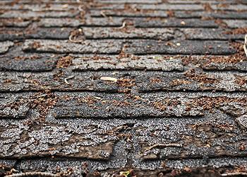 Meridian Roofing Services Images